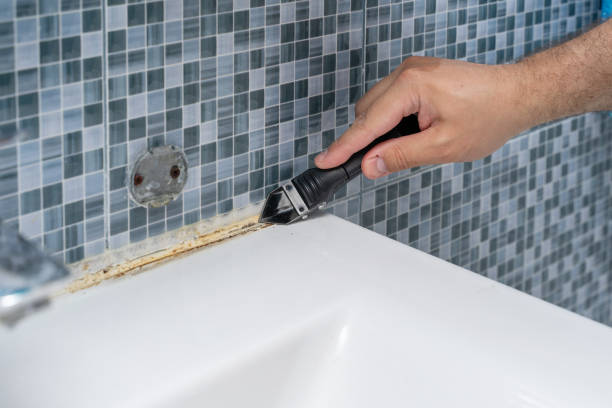 Best Attic Mold Removal  in Gra Forks Af, ND